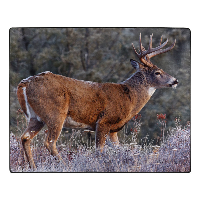 Jeté First Frost Buck Raschel, 50 po x 60 po