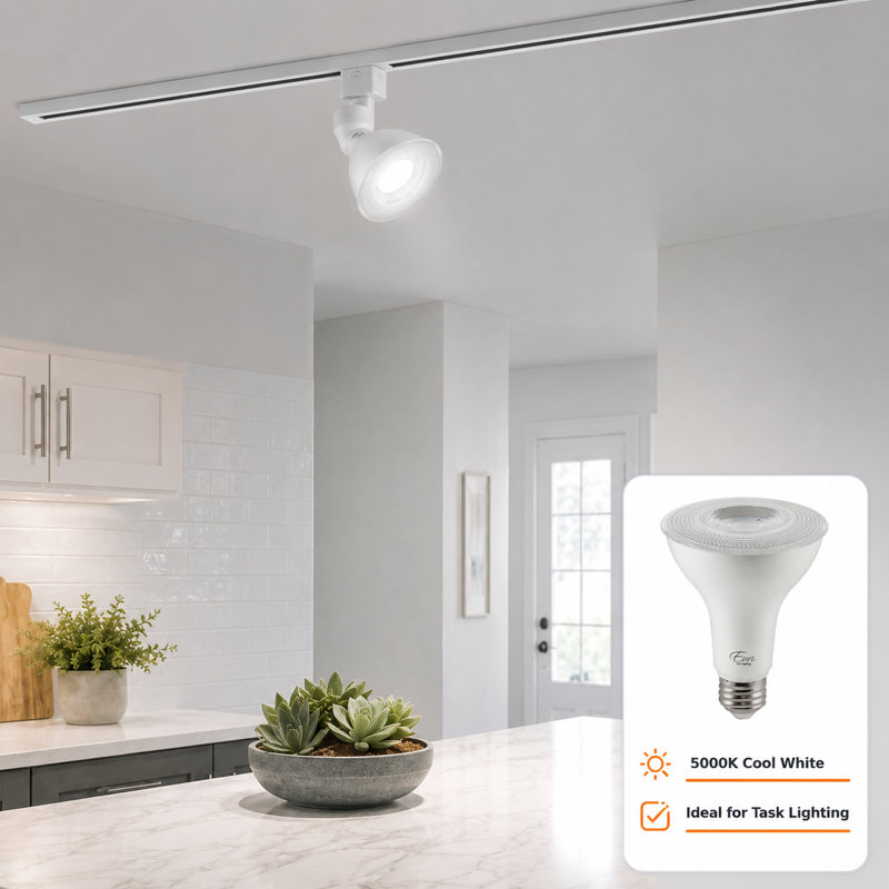 Ampoules DEL PAR30 Euri Lighting, 10 W, 900 lm, équivalent 75 W, 5 000 K, culot E26, dimmables, homologuées CEC/UL, ensemble de 2
