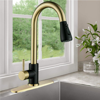 Senlesen Pull Out Kitchen Faucet
