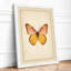 Centered Butterfly Botanical - Framed Print-1018233985-1018233988