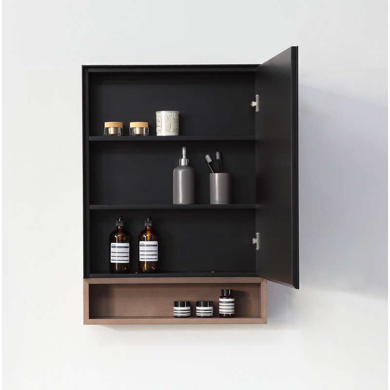Bergen 24" Medicine Cabinet, Matte Black/Chestnut Oak