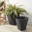 Weside Alvero Baskets
