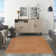 Tapis intérieur / extérieur Nourison Essentials