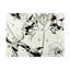 Art mural sur toile bolaire Shirley Novak-101102092