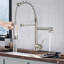 Belfry Kitchen Keenes Pull Down Kitchen Faucet
