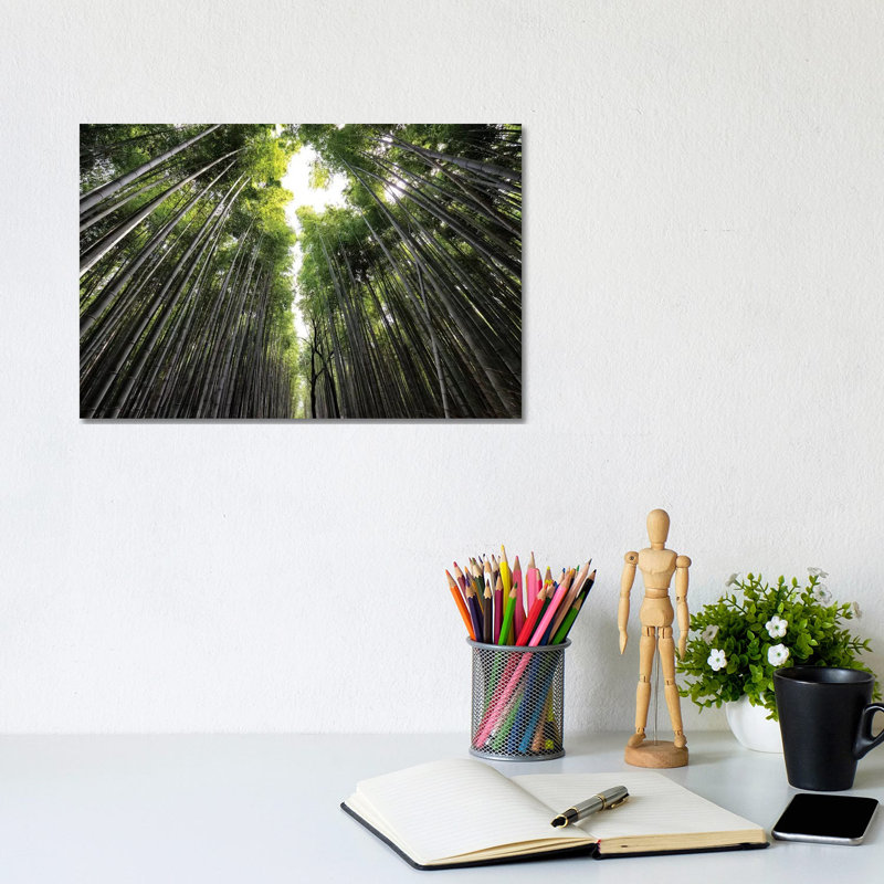 Sagano Bamboo Forest II 1 Piece Wrapped Canvas Wall Art, 20.32 cm H x 30.48 cm W