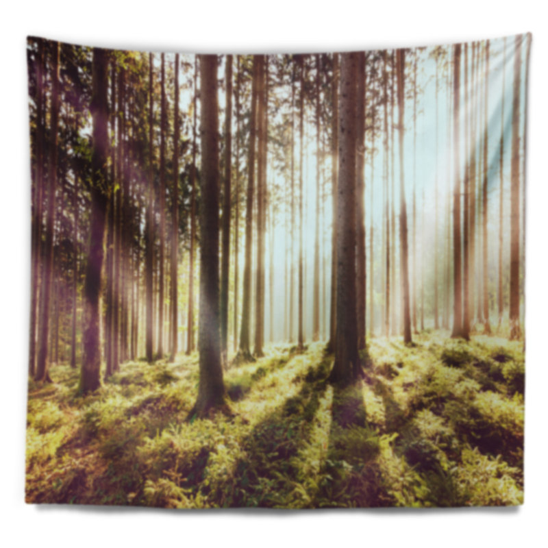 Tapisserie «Early Morning Shadows», H 78 po x l 92 po
