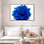 Fleur de dahlia bleue-430828405-430828410
