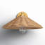Meridian 1-Light Wall Sconce in Natural Brass-1864773898
