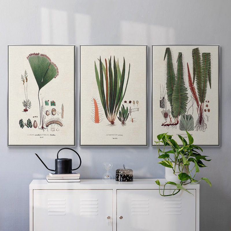 Botanical Society Ferns IV, reproduction encadrée sur toile 3 pièces, H 24 po x l 48 po x P 2 po, Argent
