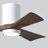 Olivier Ceiling Fan with LED Lights-1559725779-1559777871-1483043068