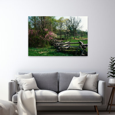 Flowering Trees In Bloom Along Fence Line Spring Great Smoky Mountains National Park Tennessee Usa. Abstract Contemporary Landscape Nature Art