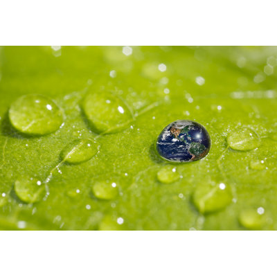 Recovery - Earth Concept by Bernie_photo - No Frame Print on Canvas