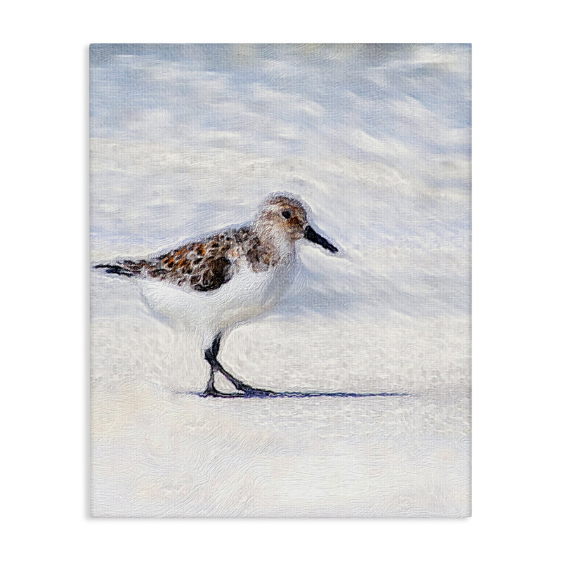 "Blue Coast Sandpiper", reproduction d'art sur toile par Denise Brown, H 20 po x l 16 po