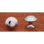 CK Series 1 1/4" Diameter Mushroom Knob-71241841