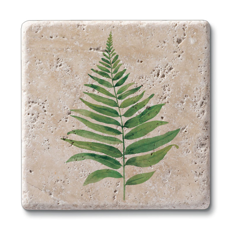 Paquet de 4 sous-verres en pierre de travertin naturel avec envers protecteur en liège Fern Study