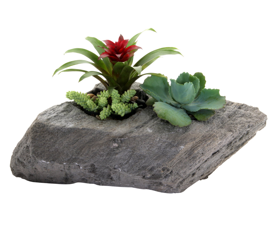 Ovalle Handmade Pot Planter Millwood Pines