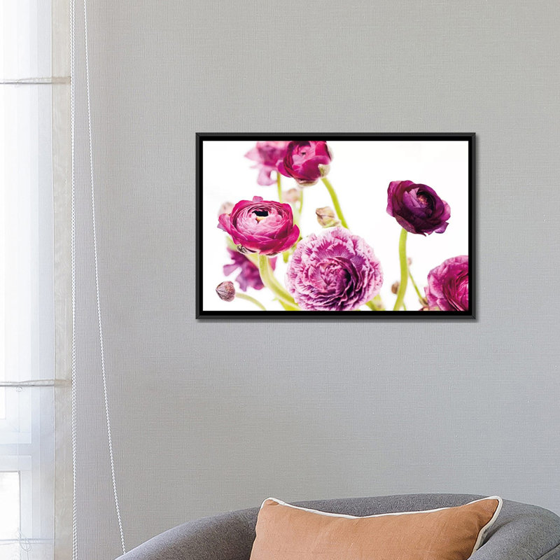 « spring renoncule iv », impression sur toile tendue, H 18 po x l 26 po x P 1,5 po, Toile avec cadre noir, Pas de tapis