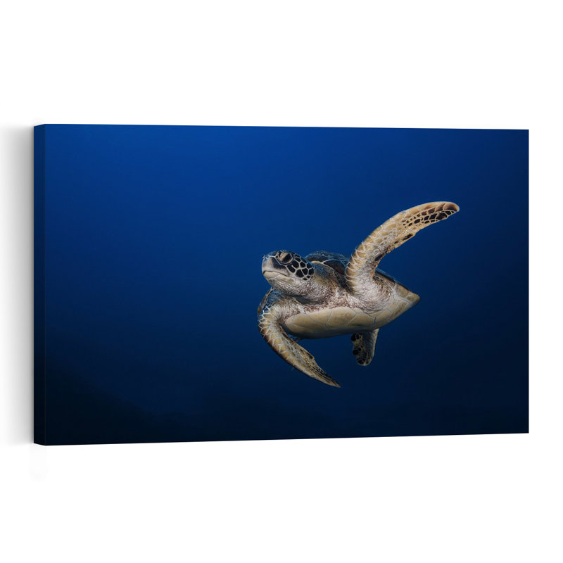 Gliding Sea Turtle Peaceful Serene Tranquil Turtle Nature Ocean Wall Art Print 1 Piece Wrapped Canvas Wall Art