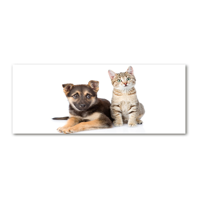 Dog And Cat - No Frame Print on Canvas