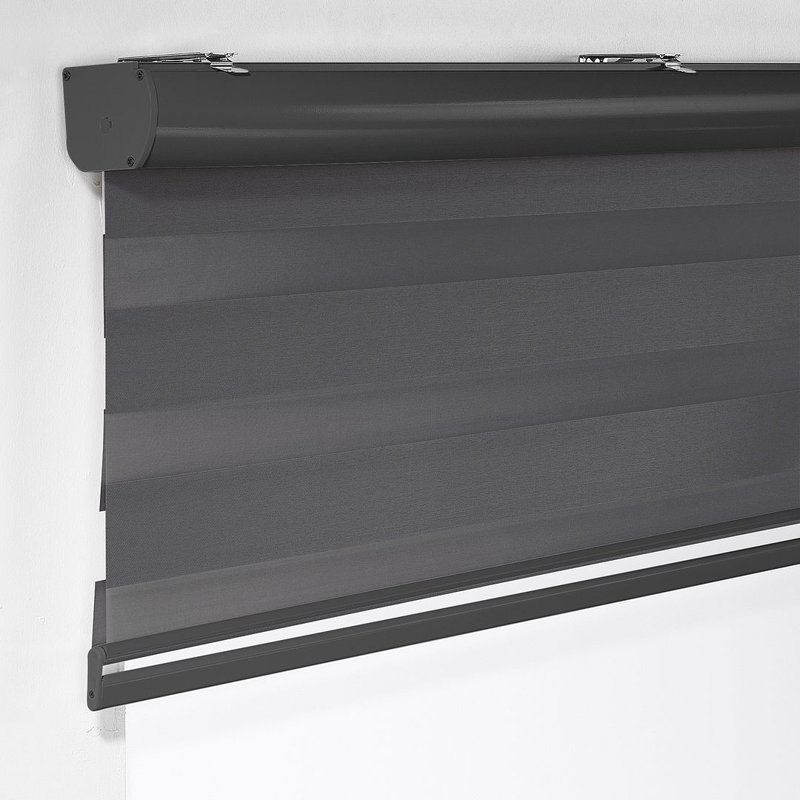 Store à enroulement double couche à double couche, stores horizontaux unis, Anthracite, L 32,5 po x L 72 po