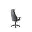 Executive Chair with Headrest