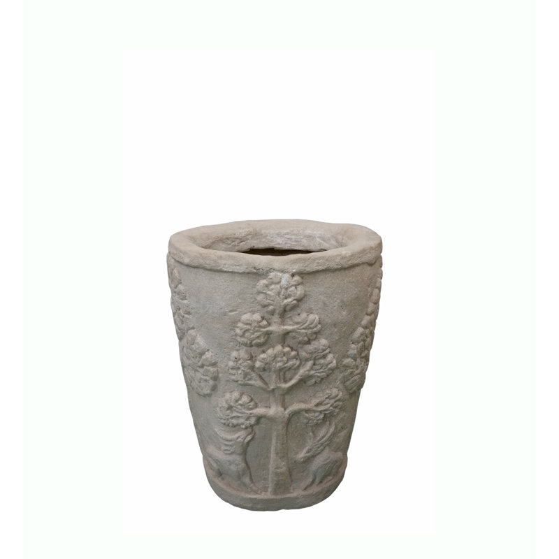 Amazon Planter