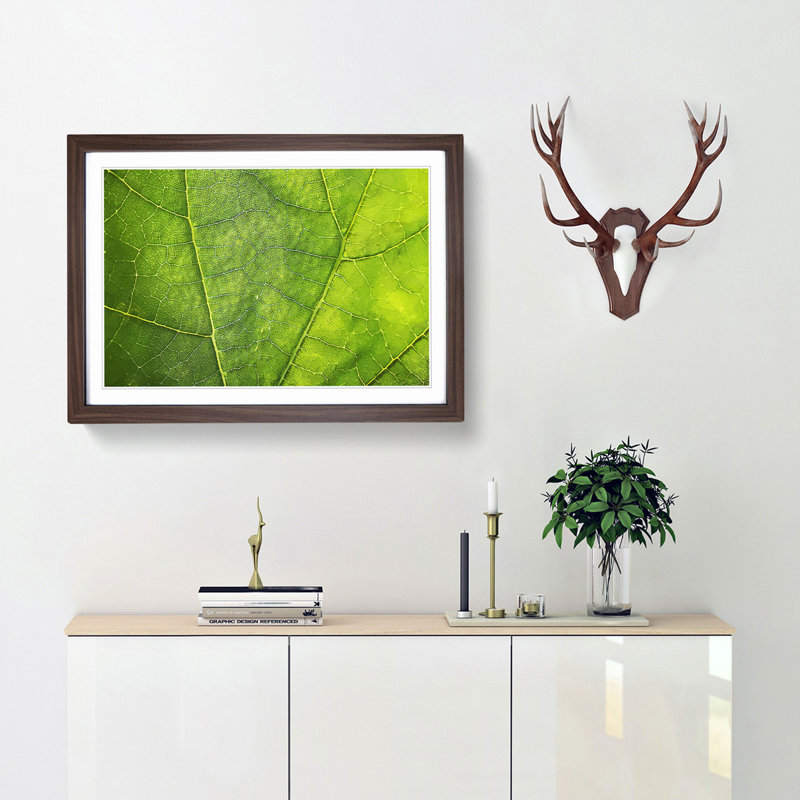 Veins of a Leaf - Picture Frame Photograph Print, 35cm H x 50cm W x 2cm D, Walnut