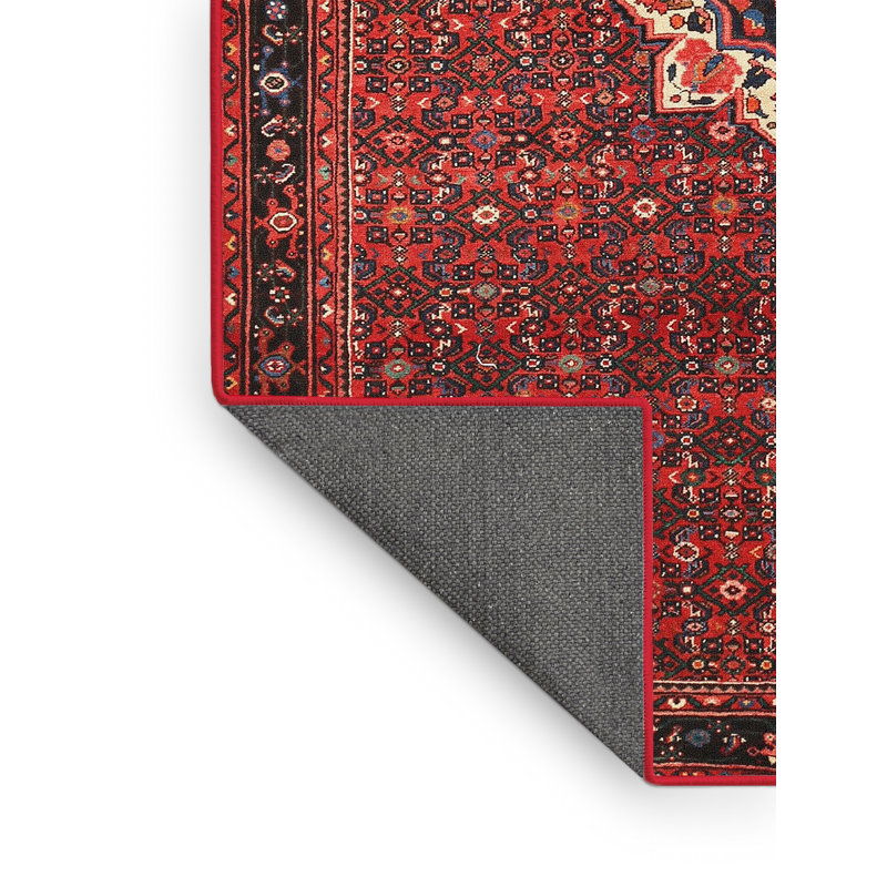 Tapis traditionnel rouge / beige Sanil, Rectangle 4 pi x 6 pi