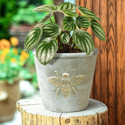 Husnida Bee Cachepot