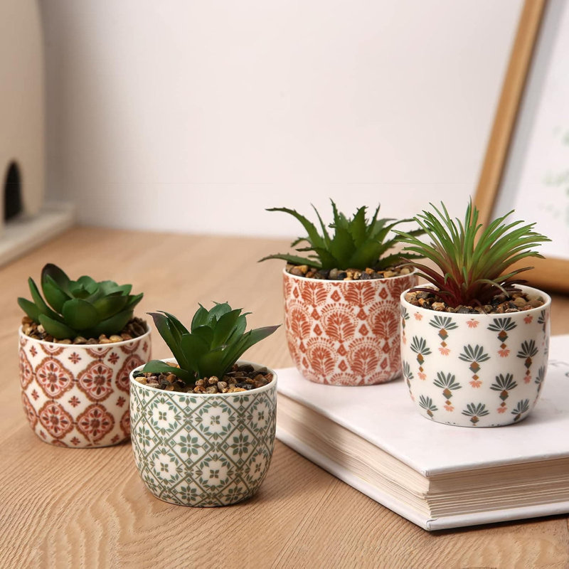 8.26cm Plant