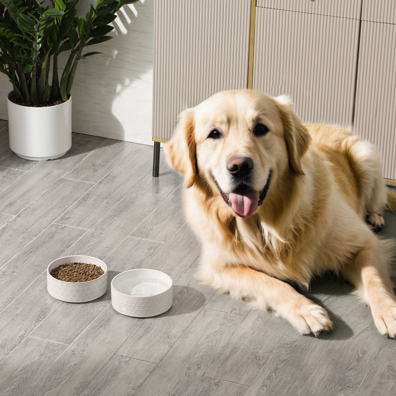 Anti-Skid Pet Bowl
