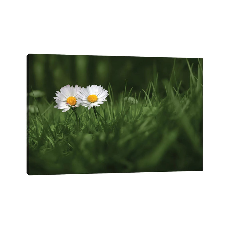 You And I by Ben Heine - Floater Frame Print on Canvas, Wrapped Canvas, 20.32 cm H x 30.48 cm W