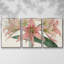 Amaryllis Varietals I 3 pièces-1730938220-1730938223
