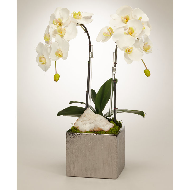 Orchid Floral Arrangement in Planter with Quartz, White
