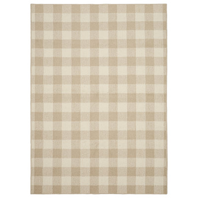 Cupp Checkered Indoor Rug