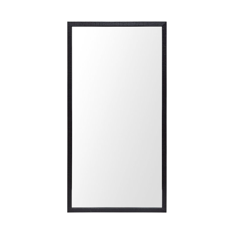 Miroir de salle de bain Aariah, Noir, H 41,5 po x l 21,5 po