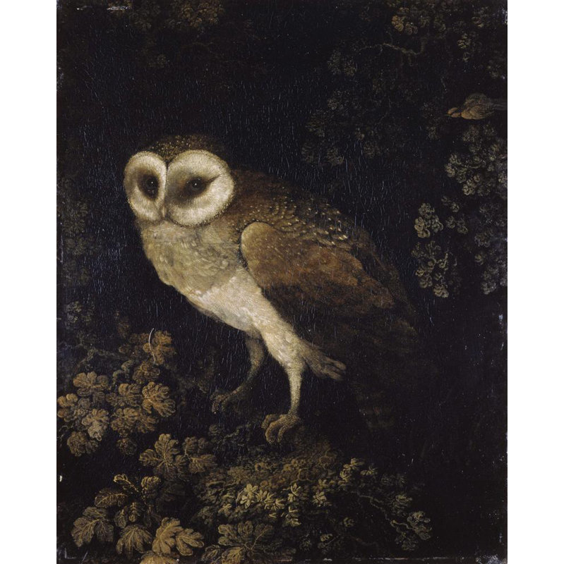 "An Owl" par Moses Haughton - Art mural sur toile tendue avec châssis, H 48 po x l 33 po