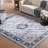 Navelina Oriental Vintage Seal Indoor Rug