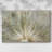 Macro Dandelion IV-Gallery Wrapped Canvas-1731401192