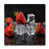 Black/Red selected