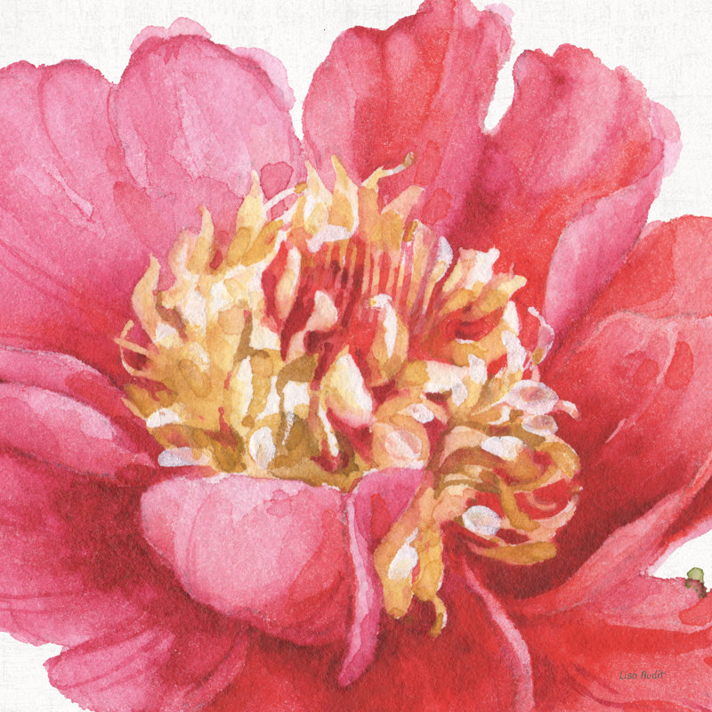 Pink Garden V by Veronique Charron - Wrapped Canvas Painting, 51cm H x 51cm W x 3.8cm D