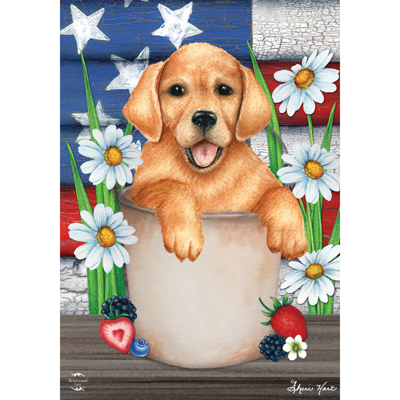 Drapeau de jardin American Lab Spring