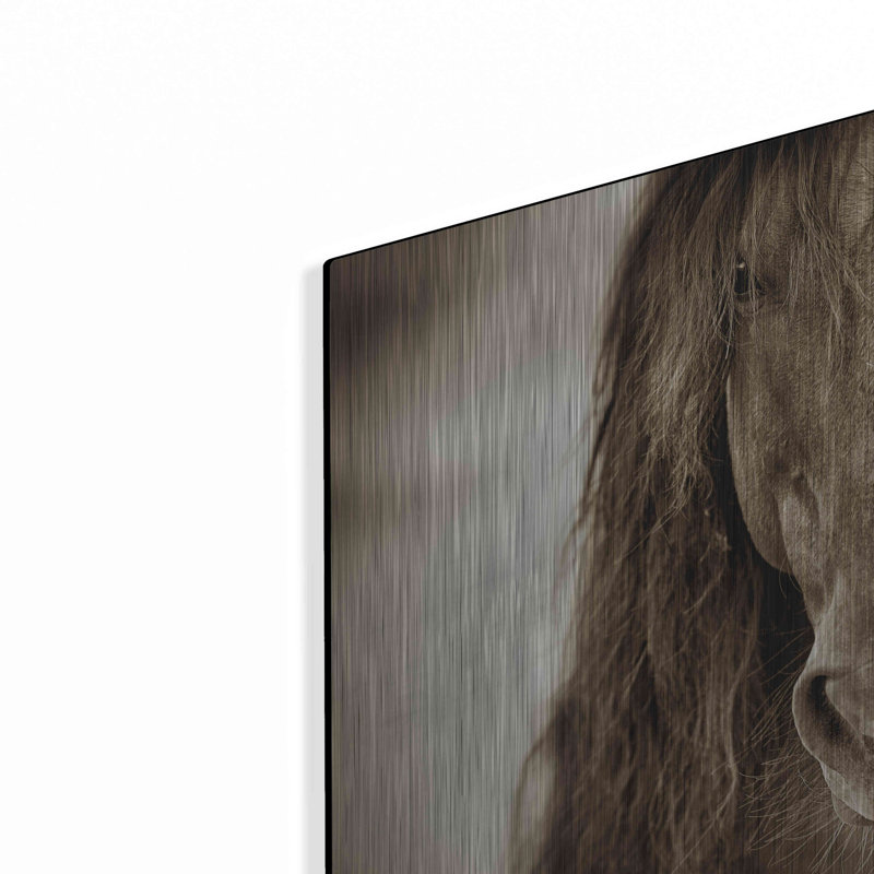 «Mustang Sally» par Lisa Dearing, H 16 po x l 24 po