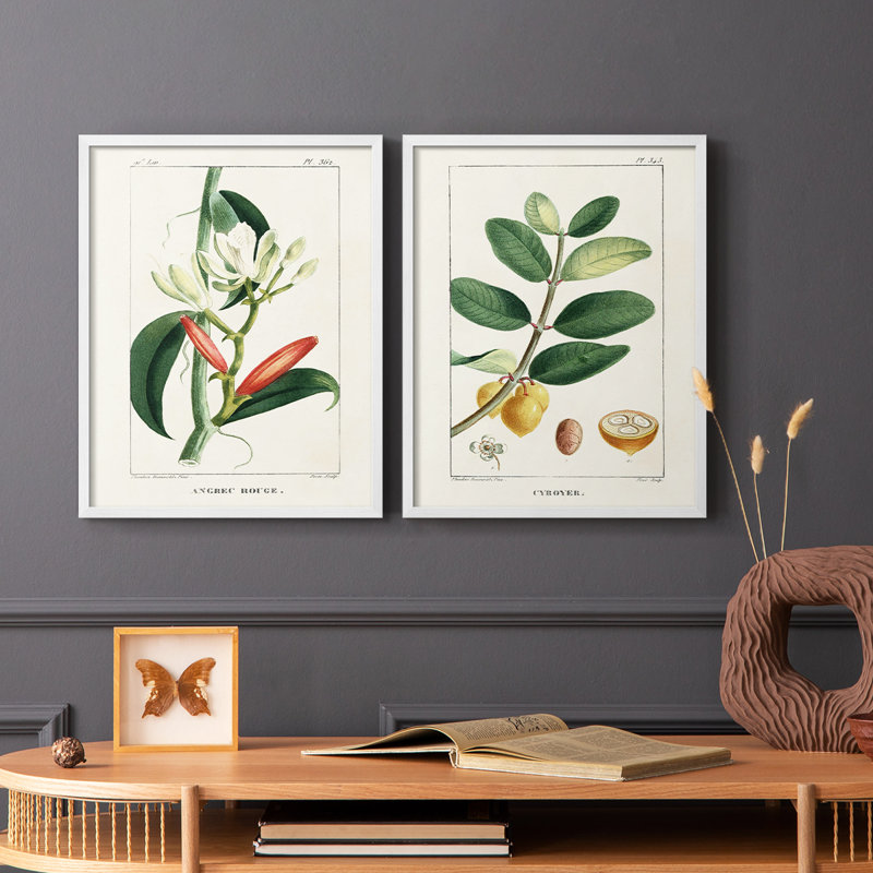 Reproduction encadrée Turpin Tropical Botanicals IX-Premium - prête à être accrochée, Blanc, H 11 po x l 18 po