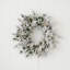 Couronne Dandan-88728944
