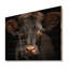 Portrait de vache - impression sans cadre sur bois-458703874