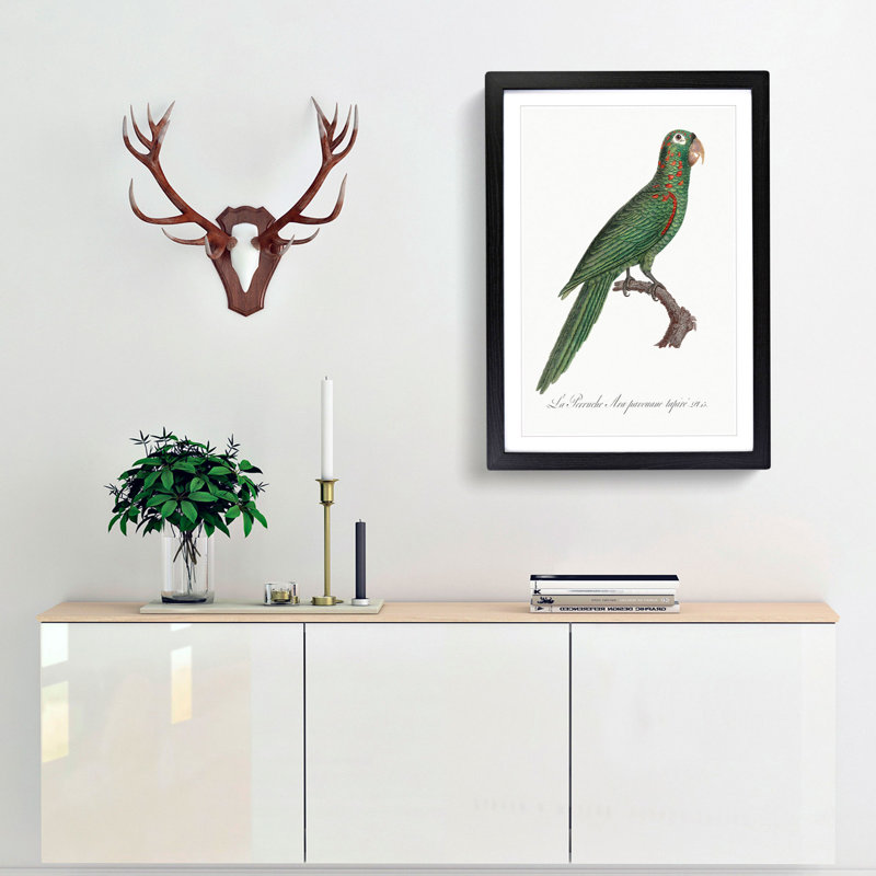 Red-Spectacled Amazon Parrot by F. Levaillant - Picture Frame Painting Print, 65cm H x 48cm W x 2cm D, Black Framed