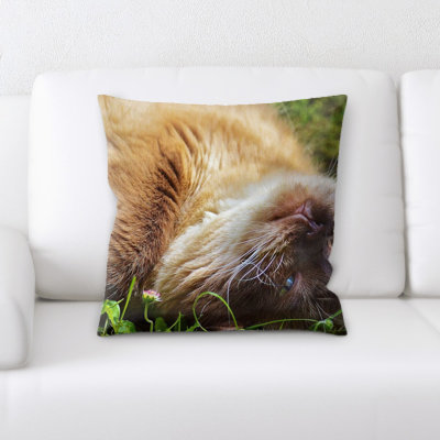 Cat Throw Pillow