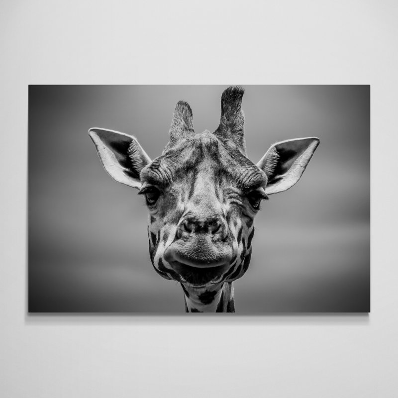 Wrapped Canvas Art Prints, 84 cm H x 117 cm W